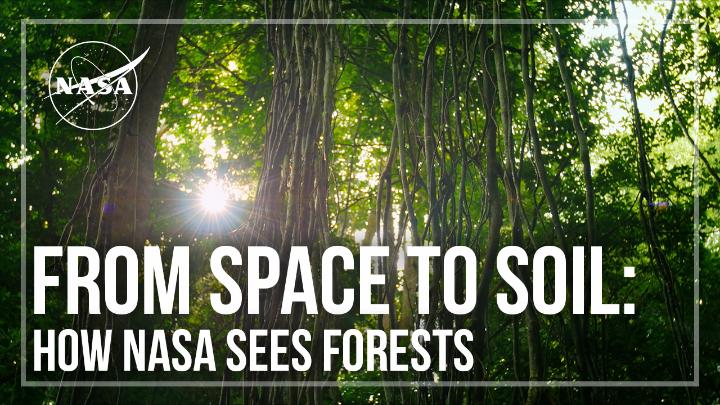 Better together 🤝 NASA’s ICESat-2 satellite and GEDI instrument on the International Space Station work together to give us the most complete view yet of Earth’s forests! They each map forests in 3D, helping scientists understand the carbon stored within our forests.