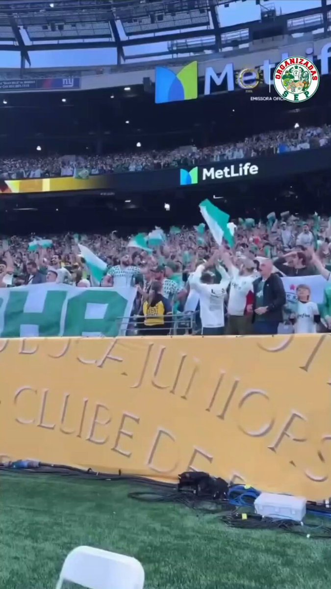 Metlife ou Palestra Itália? A atmosfera da torcida do Palmeiras, que compareceu em peso na estreia do time no Mundial diante do Porto, no último domingo! (📹 organizadassep / IG, Nosso Palestra, PodPorco, Louder.sports / IG)