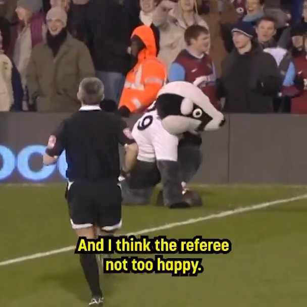 In February 2008, Fulham's Billy the Badger delayed the second half restart with an awe-inspiring breakdance routine on the pitch. Football heritage. 🫡 #NationalMascotDay