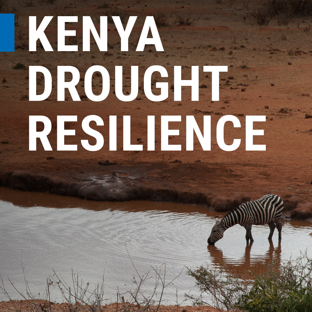 Nuclear science and technology help restore lands, increase crop yields, protect water resources and feed the world's growing population. Watch how we are working with scientists in Africa and around the 🌍 to help farmers protect their livelihoods. #DroughtAndDesertificationDay