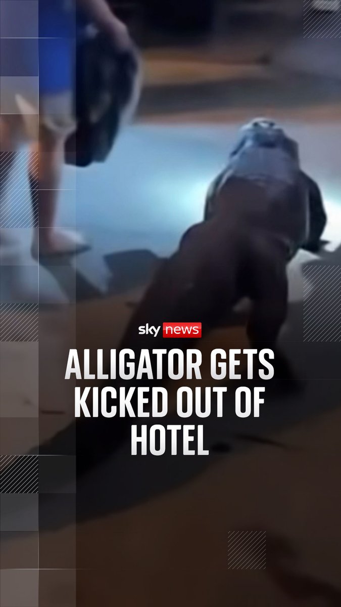 Police responded to a call from a hotel guest reporting that an alligator had wandered past their room in Virginia, US. 🐊 The couple's 'pet' was escorted out of the premises and out of the country 🔗