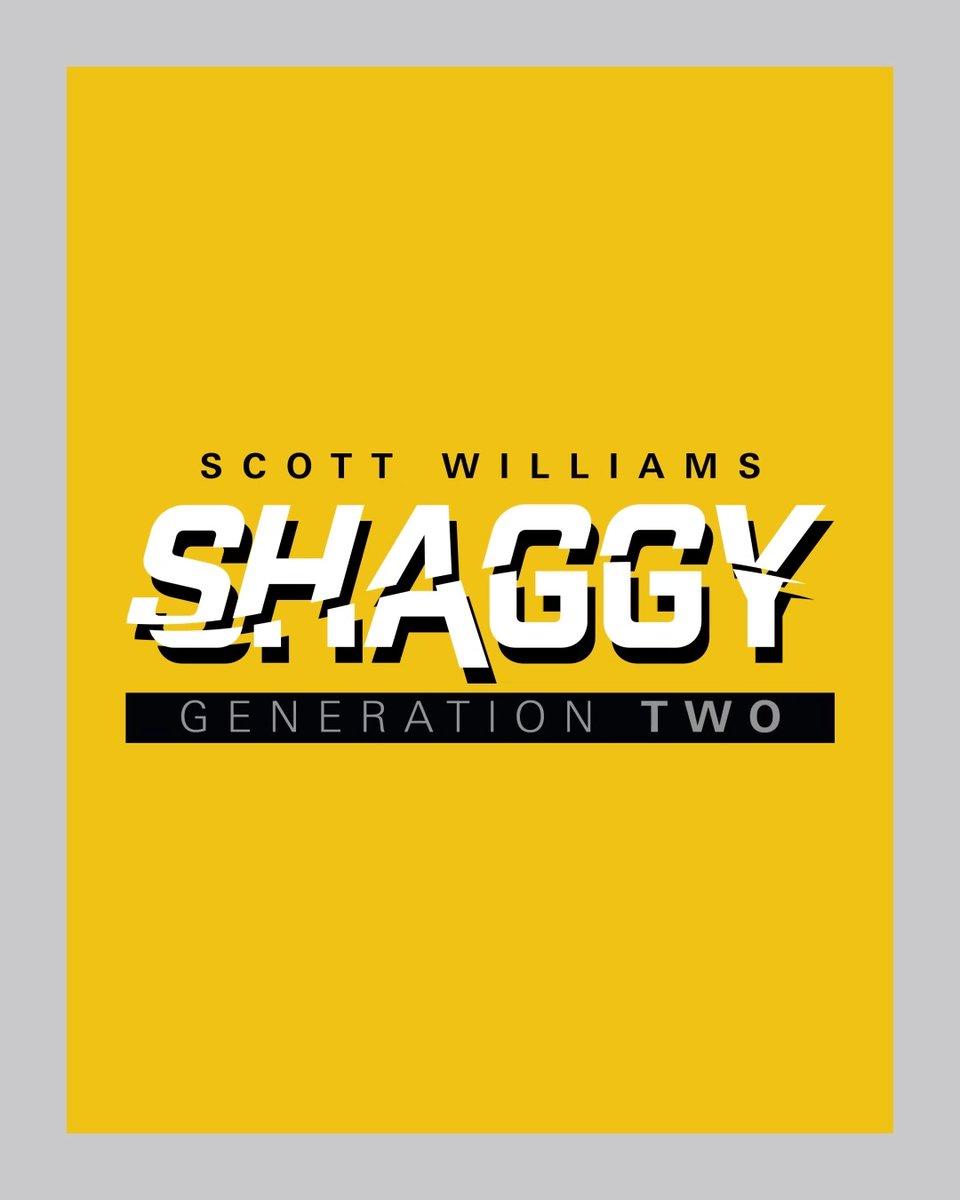 Shaggy G2 🐝 The bomber barrel designed for the enigmatic Scott Williams. Available in both steel tip and soft tip. You know, just in case. #TeamTarget