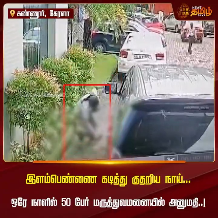 இளம்பெண்ணை கடித்து குதறிய நாய்.. ஒரே நாளில் 50 பேர் மருத்துவமனையில் அனுமதி..! #Kannur #kerala #Dog #Hospital #TamilNews #NewsTamil #NewsTamil24x7