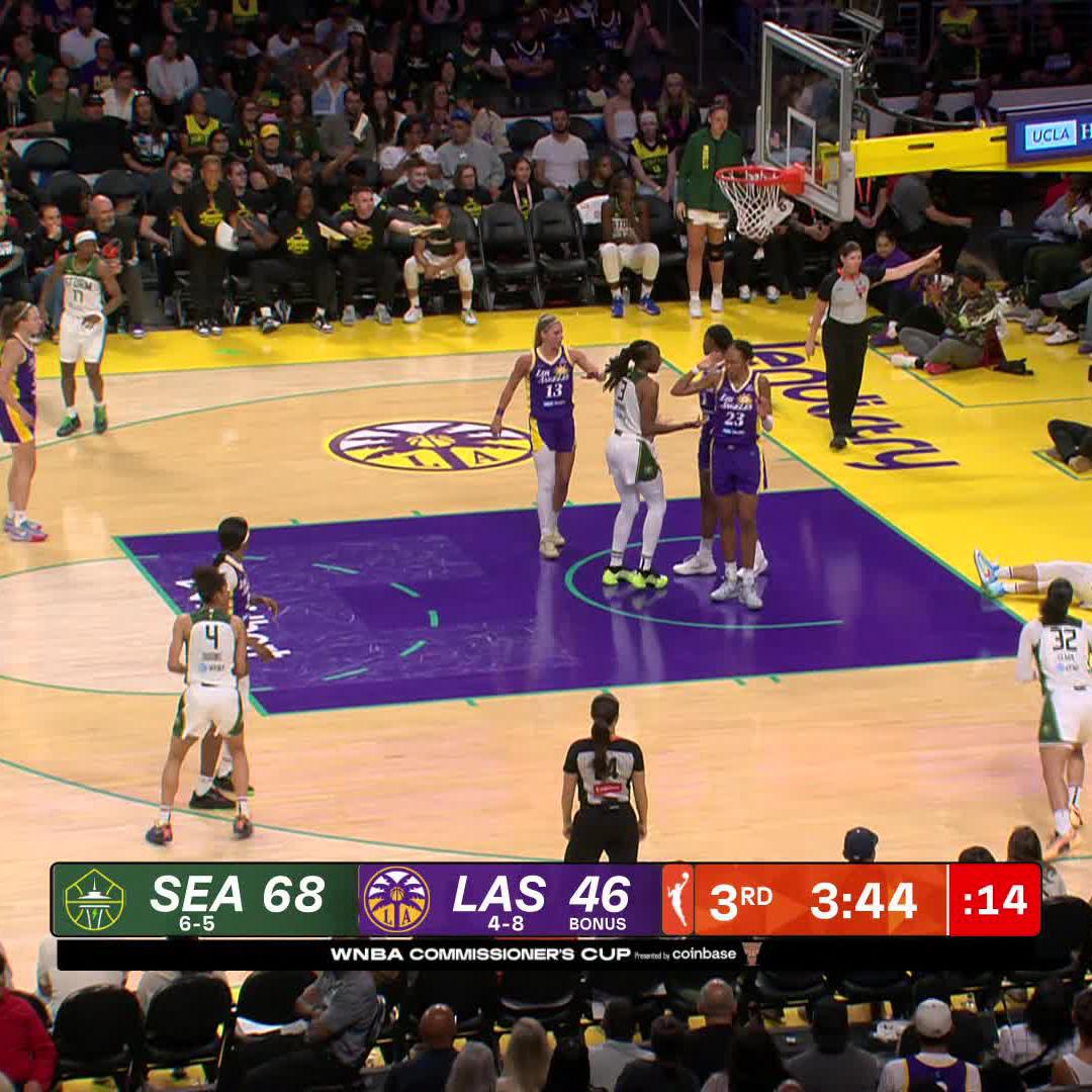 Sania blocks compilation? Sania blocks compilation. 🚫 Sania Feagin x WNBA