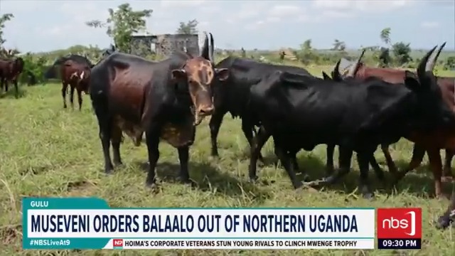 VIDEO: President Museveni has issued Executive Order No. 2, which will take effect on 25th June, 2025, over the forceful eviction of Balaalo. BENSON ONGOM #NBSLiveAt9 #NBSUpdates
