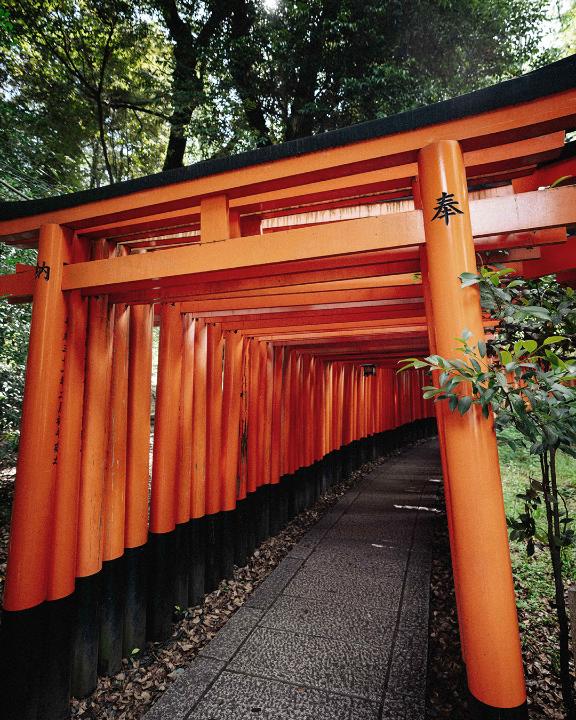 Welcome to Kyoto, the city of secrets. With its layers of culture, tradition and history, there are always hidden surprises waiting to be revealed. #OMEGA #MyLittleSecret