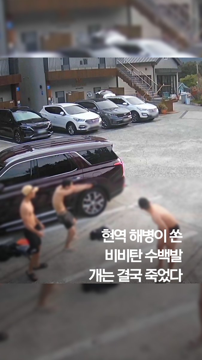 현역 해병이 쏜 비비탄 수백발…개는 결국 죽었다 #shorts #연합뉴스 #해병 #비비탄 #개 #동물 #학대