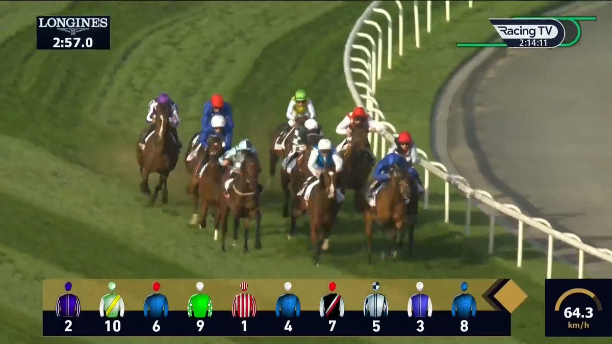 Trawlerman is $3 for the Gold Cup and yet Dubai Future is $34 having given him windburn last time they met. Cracking top 4 place bet considering he loves Ascot and you’re getting a better price for him to do that than Trawlerman is to win.