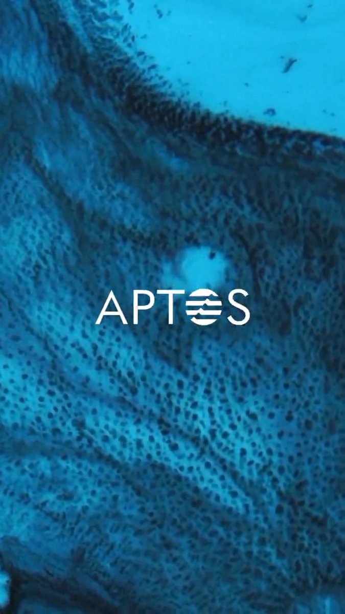 Meet the founders from on-site at Aptos Horizon on the mic 🎤 This 10-week program in Osaka was Japan's first government-supported Web3 accelerator, powered by Aptos. Host Alix | Ft. Ekiden, XWIN GROUP | XWIN.Finance | XWIN.Capital | Japan, Values Network, & MMMC. Run the reel, hear their journeys 🎬