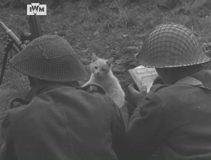 British soldiers filmed resting in Banneville-Sannerville, Normandy, 24 July 1944. In the first scene, a Bren gunner plays with a local kitten while a rifleman writes a letter home. In the second, men of 246 Field Company RE queue up to receive a hot-lunch. Film: IWM A70 94-3