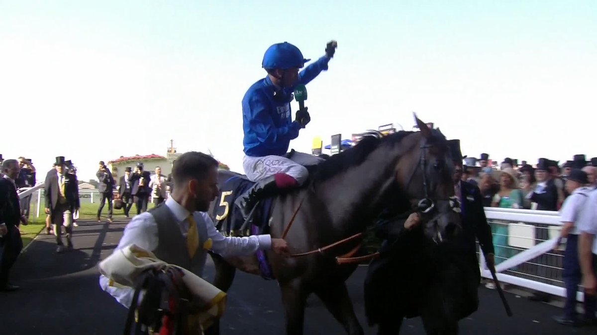 Arabian Story wasn't a big fan of our microphone so Oisin Murphy did the interview himself 😆 @rishipersad1 | Oisín Murphy