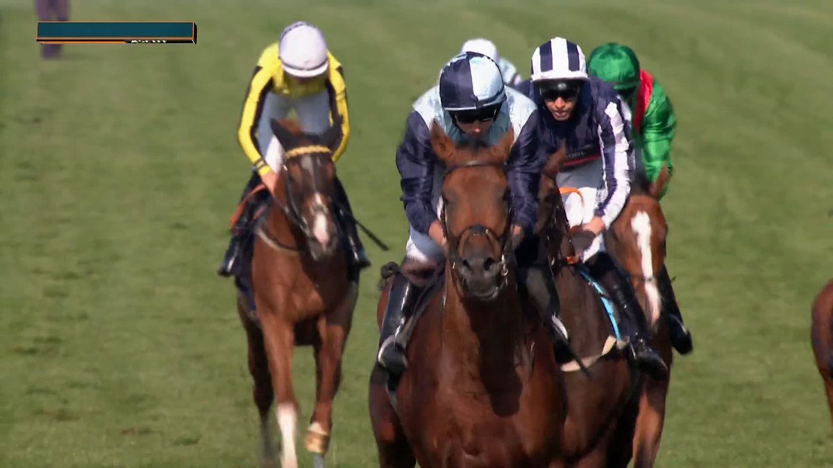 TRINITY COLLEGE wins the Hampton Court Stakes 🏆 #RoyalAscot | Coolmore
