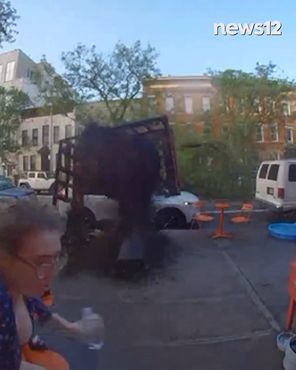 VIDEO: Downed trees in Bushwick due to high winds, rain and lightning. News 12 obtained videos of the damage including a tree that fell on top of cars on Irving Street in front of Ollie's Ice cream -