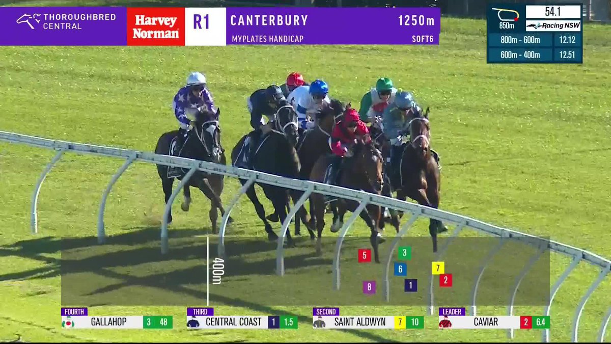 🇯🇵 来日した3億円牝馬の半弟が初勝利! 🇦🇺 18日、1250mの2歳メイドン。ウートンバセット産駒の良血牡馬、セントラルコーストがデビュー2戦目で初勝利。 妹はDMMバヌーシーが購入したサンライトの2023。この馬も1歳馬セールにて1.3億円で落札されています。 #競馬 #海外競馬