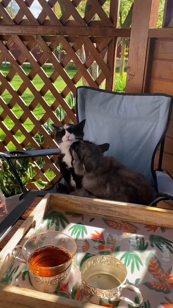I think they need a room