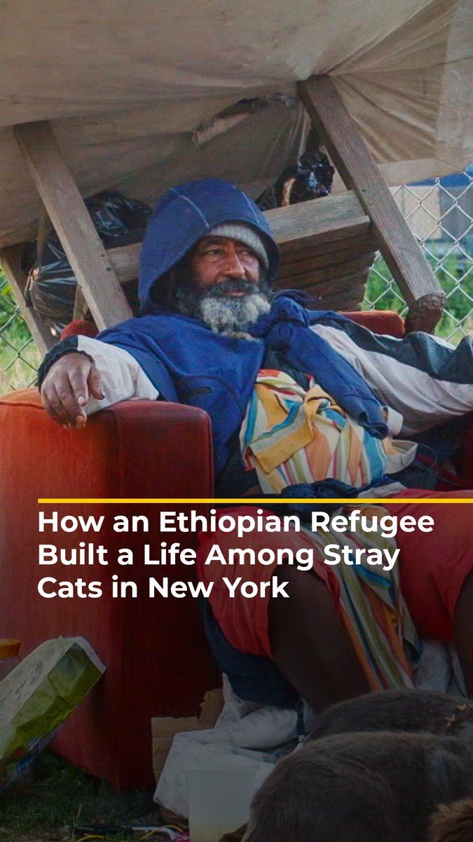 Displaced by war in Ethiopia over four decades ago, Eshete found himself on the streets of New York City. On #WorldRefugeeDay, follow his story as he finds his calling in caring for the City’s stray cats: