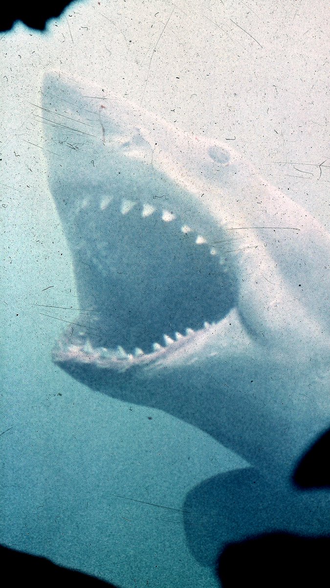 50-year spoiler alert warning. 🎬 Jaws (1975)