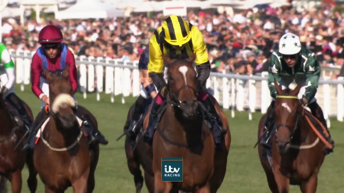 Adrestia wins the Palace Of Holyroodhouse Stakes 💛🖤 @KHK_Racing | Oisín Murphy