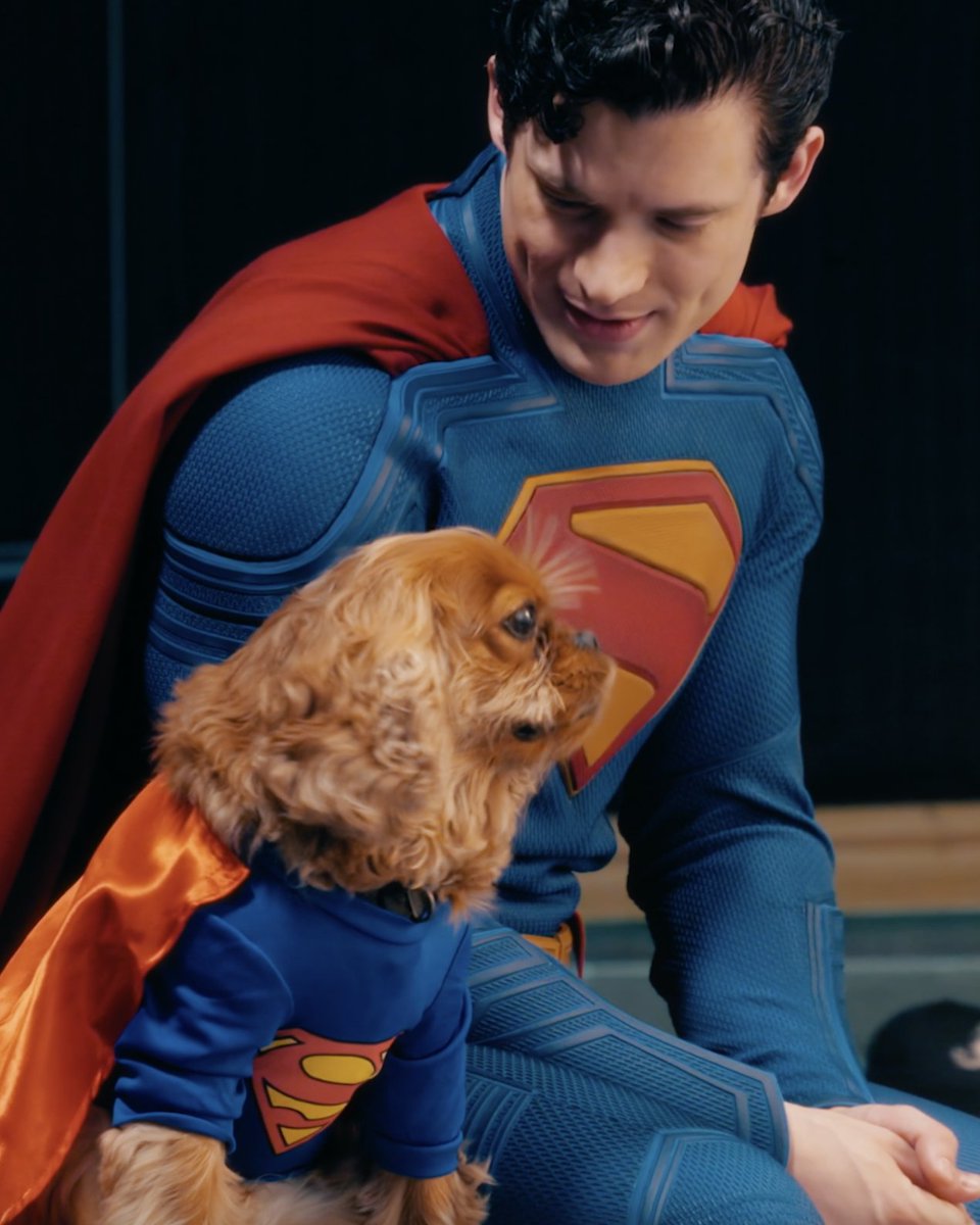 Making National Bring Your Dog to Work Day super special. 🐶✨ Get tickets now: