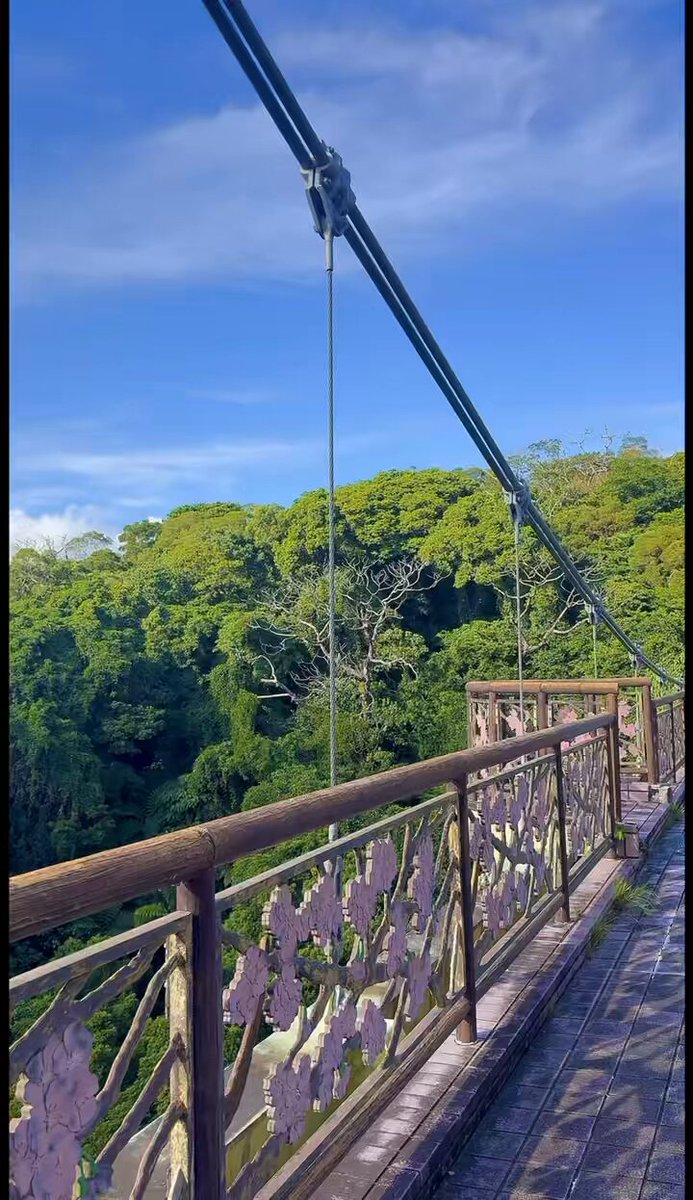 Sakura bridge was such an amazing view 🪷 #okinawa #summer #blasian