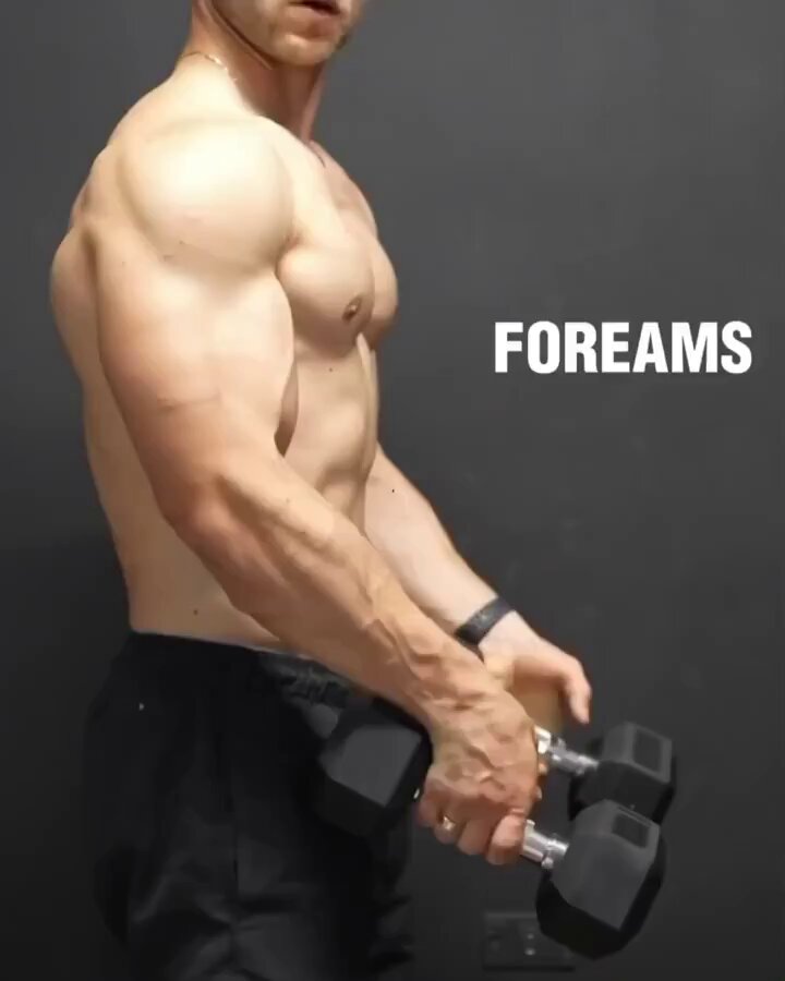 5 Powerful Forearm Workout: 1.