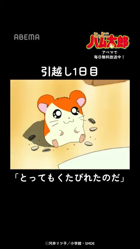 引越し1日目はくたびれるよね… 1話「とっとこ登場! ハム太郎」より 「明日はもーっと楽しくなるよね、ハム太郎！」 「とっとこハム太郎」はアベマで毎日無料配信中！ 視聴はこちら▶︎ #ハム太郎 #とっとこハム太郎 「とっとこハム太郎」公式サイト運営