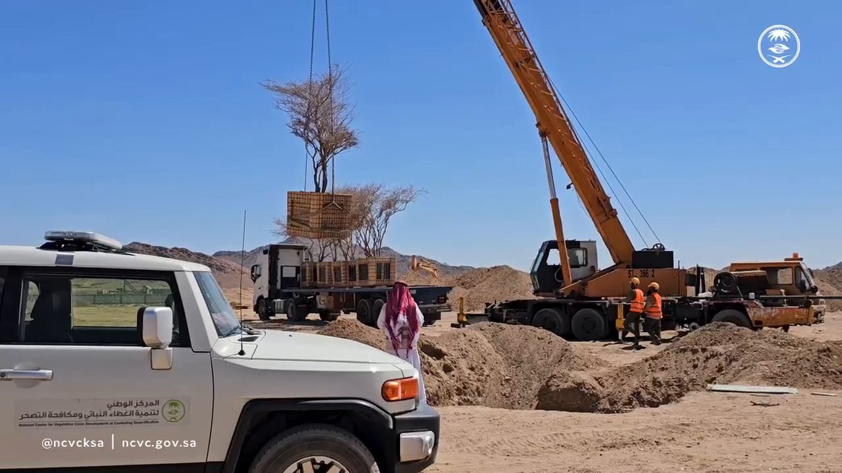 في عملية استغرقت 4 أشهر.. نقل 5 أشجار معمرة، من أنواع "السمر والسيال" من مشروع محطة محروقات بقرية الفريش بـ #المدينة_المنورة إلى مواقع الغطاء النباتي