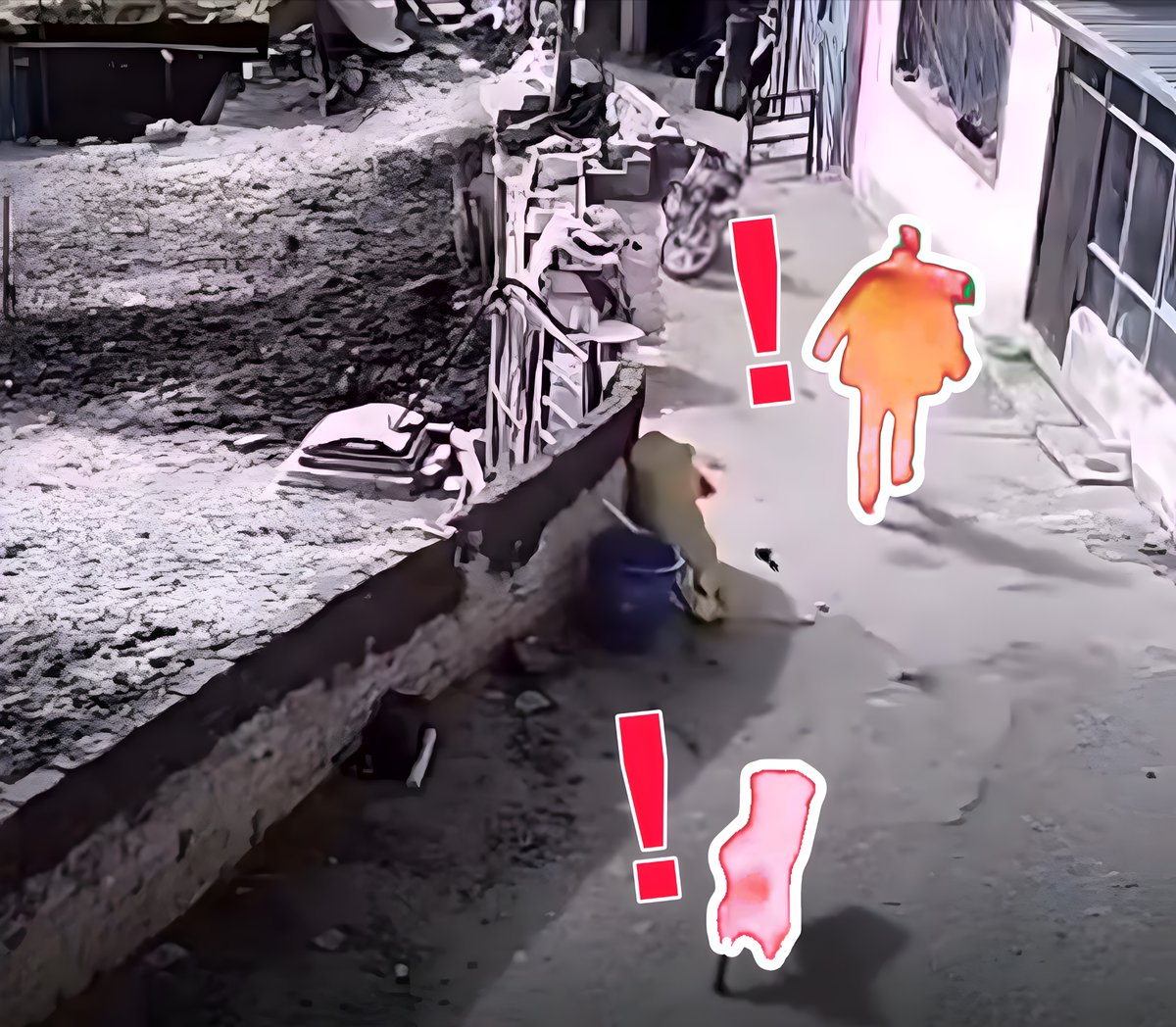 Erzurum'da vatandaş kendisine saldıran başıboş köpeği fırlatıp attı