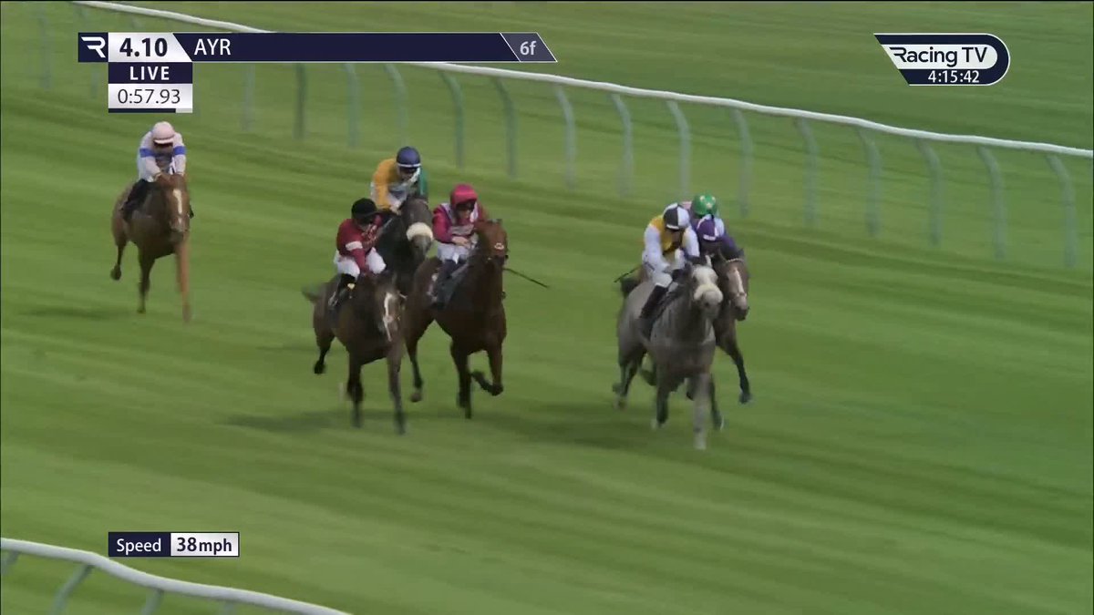 A winning newcomer for Amo Racing 🟪⬜️ £80,000 buy Do Bronxs (Oasis Dream) proves an instant hit Ayr Racecourse.
