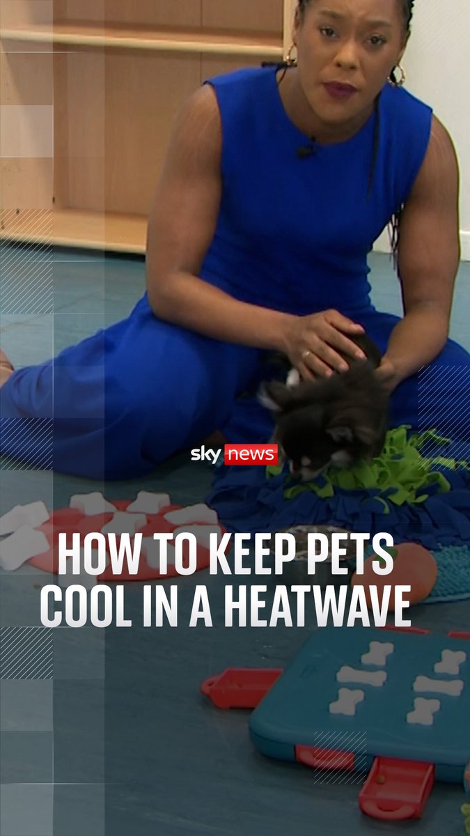 Sky's Shamaan Freeman-Powell visited Battersea Dogs and Cats Home on the hottest day of year to learn the best ways to keep pets cool during a heatwave. Click here to read ways to stay cool in the heat➡️