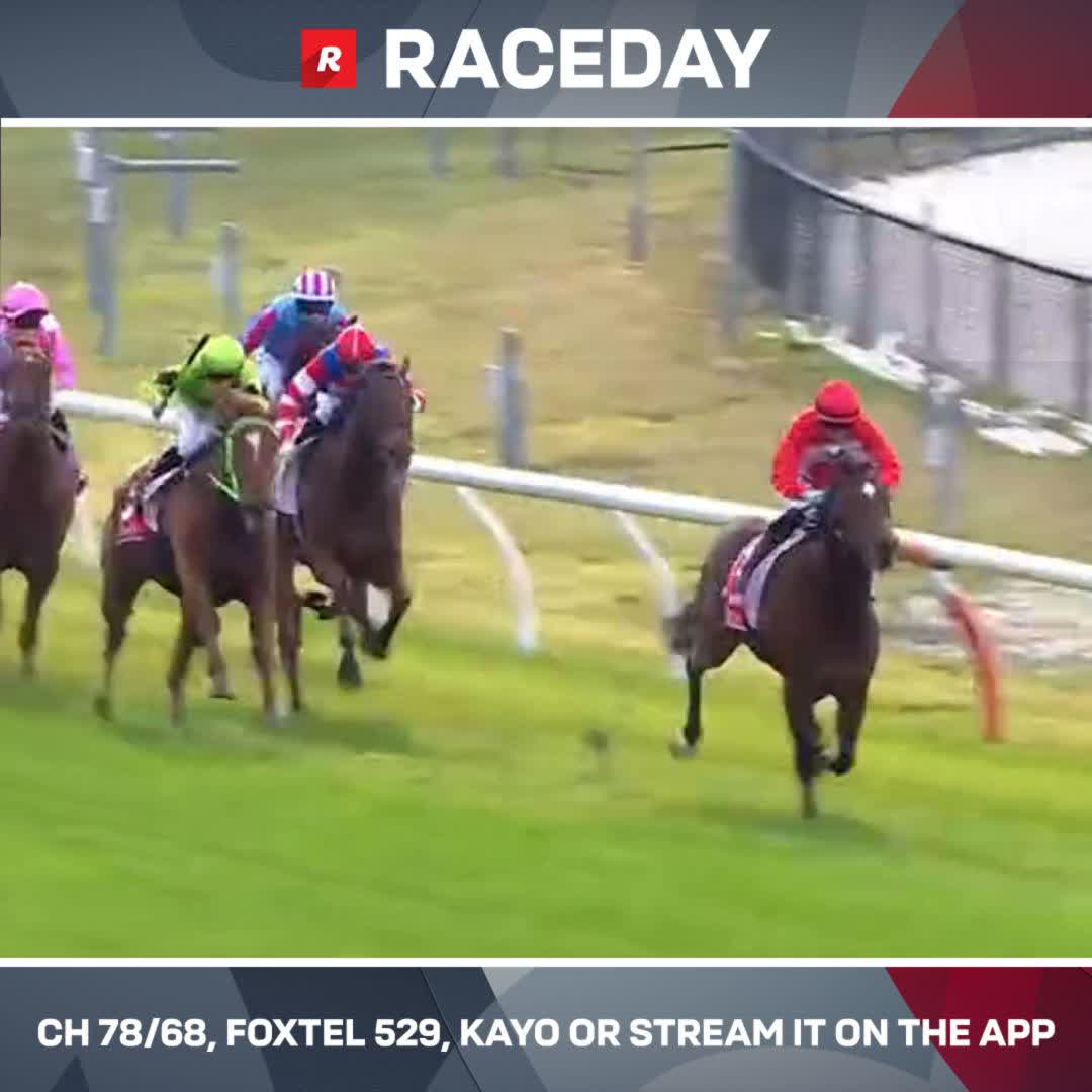 Bacash's strong form at the jumpouts has paid off in spades as he justifies the short quote to dominate in the opener at Cranbourne 🔥 Lindsay Park Racing Daniel Stackhouse