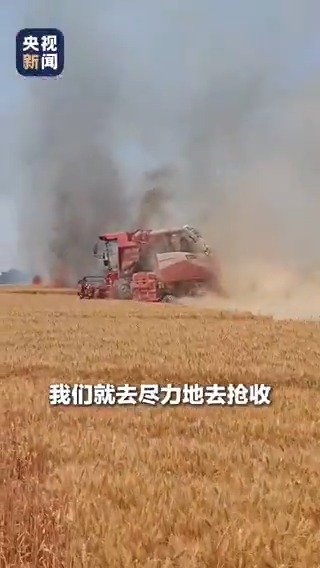 【Video】Recently in Shandong, a fire broke out in a wheat field. A young woman drove a harvester straight into the flames to save the crops. “My legs went weak after I got off. I’ve never felt this brave before,” she said. #EverydayHero