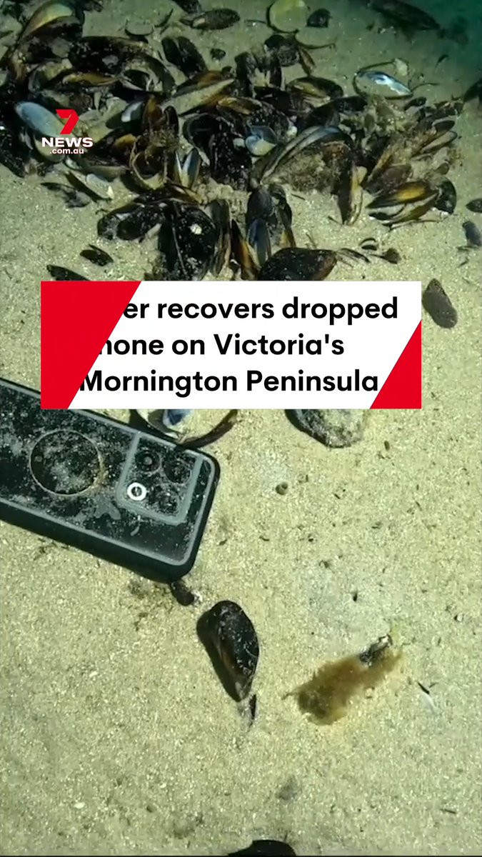 An Australian videographer gearing up for a scuba dive has retrieved a phone from the water after an unfortunate man dropped it below the pier the night before. #scubadiver #scuba #diver #victoria #mornington #phone #lostphone #diving #7NEWS