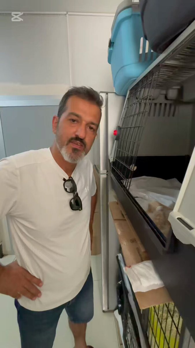 Baby shower partisine hazırmısınız, sokaktan aldığımız kedimizin az önce doğumu güvenli şekilde gerçekleşti arkadaşlar. bi sürü torunlarımız oldu 🥰