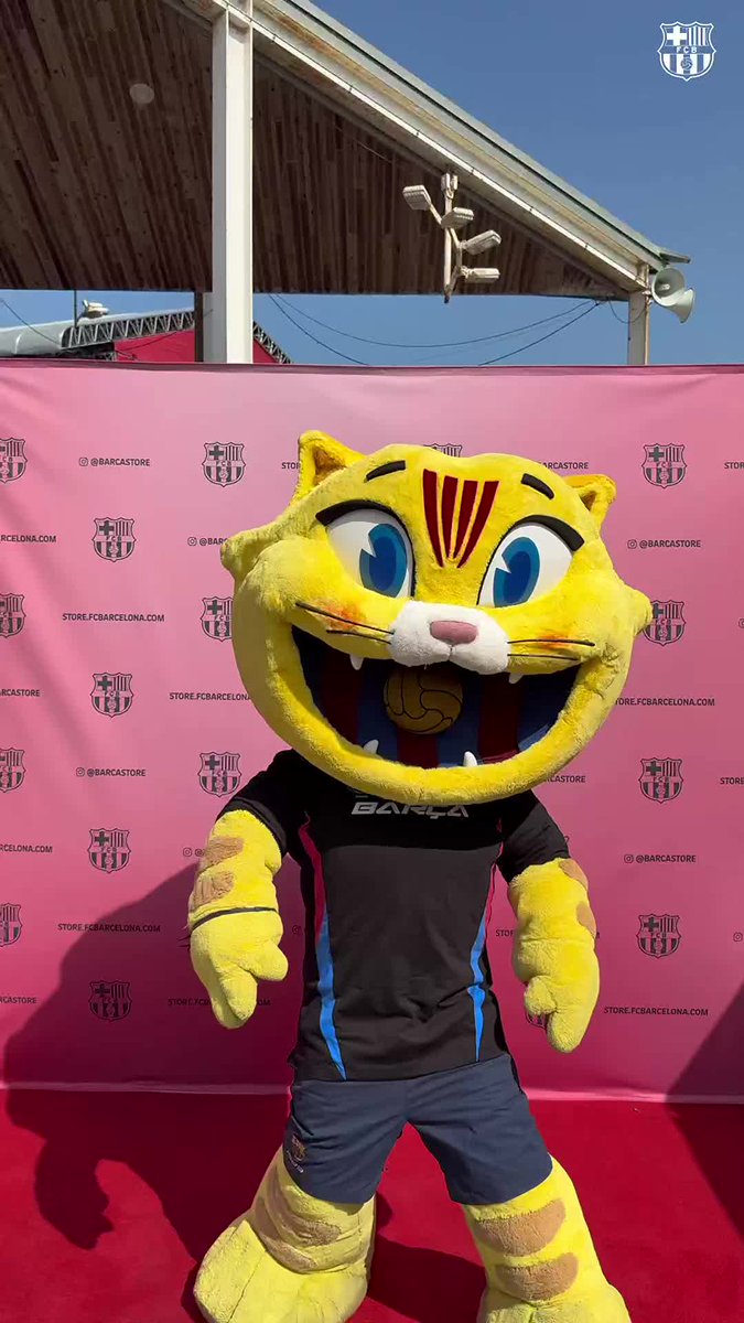 ¡La mascota Cat disfrutando de la mejor música en el Share Festival! 😼🎶
