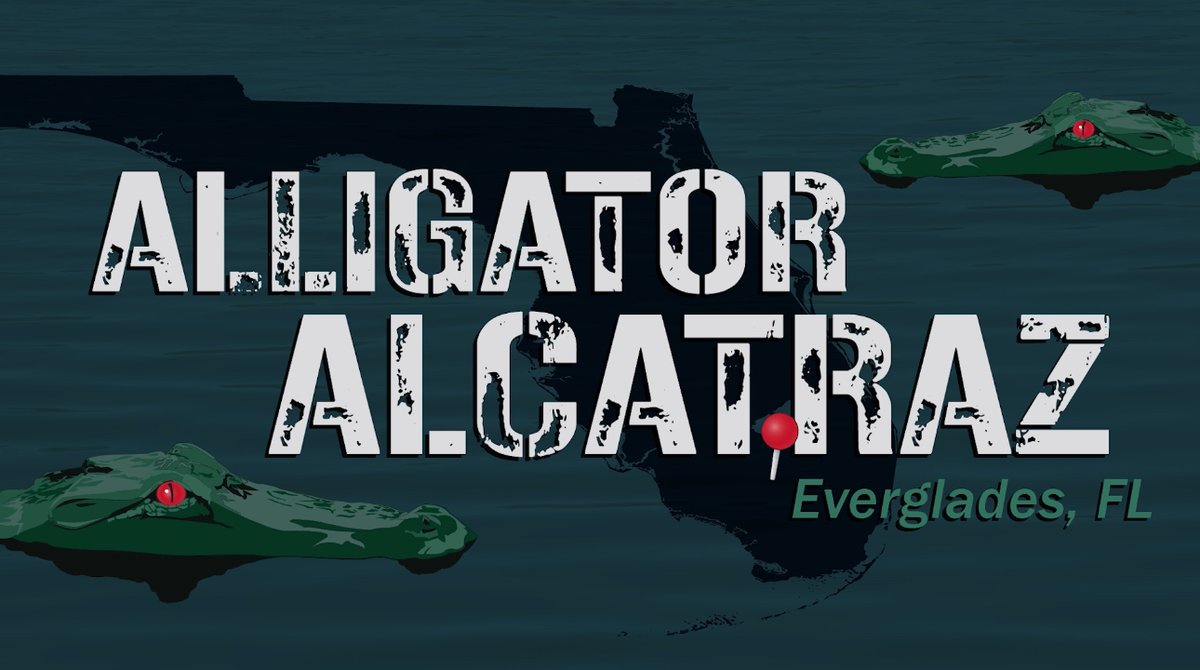 BREAKING: DHS has approved “Alligator Alcatraz” — a new facility in Florida to detain illegals surrounded by a swamp filled with alligators