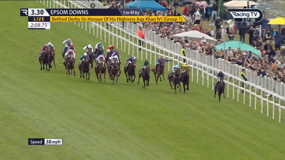 🔟 Left in the Irish Derby on Sunday! 🇮🇪 • Lambourn 4/5 • Tennessee Stud 11/4 • Green Impact 8/1 • Lazy Griff 10/1 • Pride Of Arras 10/1 • Puppet Master 10/1 • Serious Contender 40/1 • Thrice 50/1 • Shackleton 100/1 • Sir Dinadan 100/1