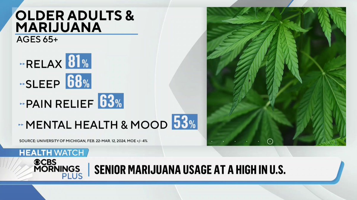 Cannabis use among folks ages 65 and older has surged in the U.S. to a new high — increasing by nearly 46% from 2021 to 2023, new research reveals. Dr. Sue Varma, MD, PC, DFAPA shares factors that could be contributing to the rise and breaks down some of the risks.