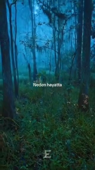 “Üç istek sizi başkalarının kölesi yapar; Sevilme isteği, beğenilme isteği, takdir edilme isteği.”