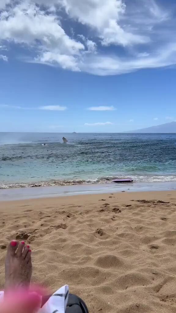 Enjoying a nice day at the beach gone wrong