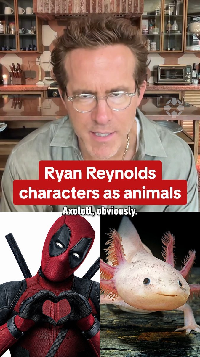 Ryan Reynolds narrates the docuseries Underdogs! Which animals are most like his characters?