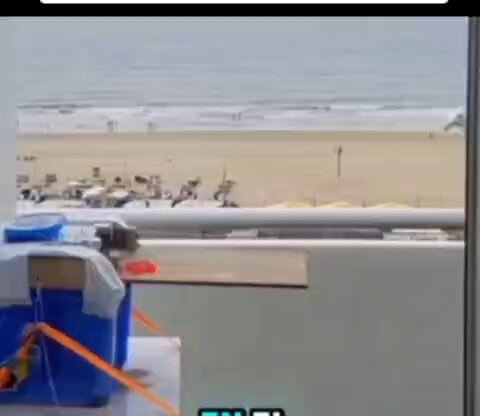 Un hombre enseñó a las gaviotas a cambiar plástico por comida. Un acto de amor por el planeta… y por ellas.