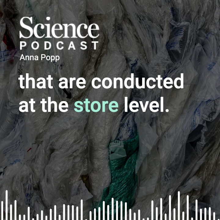 In the latest #SciencePodcast🎙️, environmental economist Anna Papp explores her work comparing litter collected by shore cleanup efforts before and after the onset of plastic bag bans. 🎧 Take a listen: