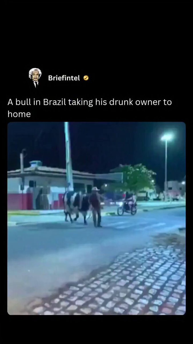 You can't make this up 😭