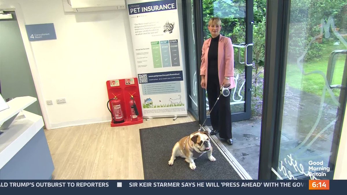 Vets and government officials are issuing an urgent warning to the owners of cats and dogs after traces of a toxic insecticide were found in a fake flea treatment. Katy Rickitt reports.