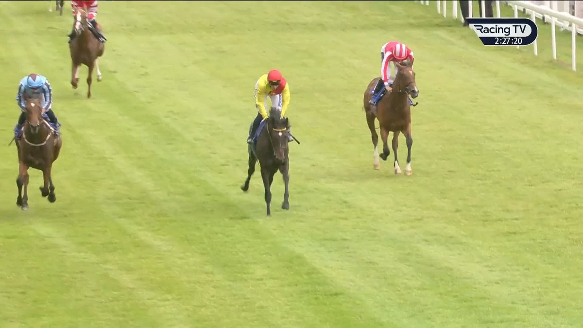 "I've been told my whole life I can't train two-year-olds!" ๐ A nice riposte here from David Menuisier ๐ฌ๐ง๐ซ๐ท๐ช๐บ๐ as Goodwood Galaxy (Kodi Bear) becomes the yard's second juvenile winner in as many days, scoring here at Salisbury Racecourse