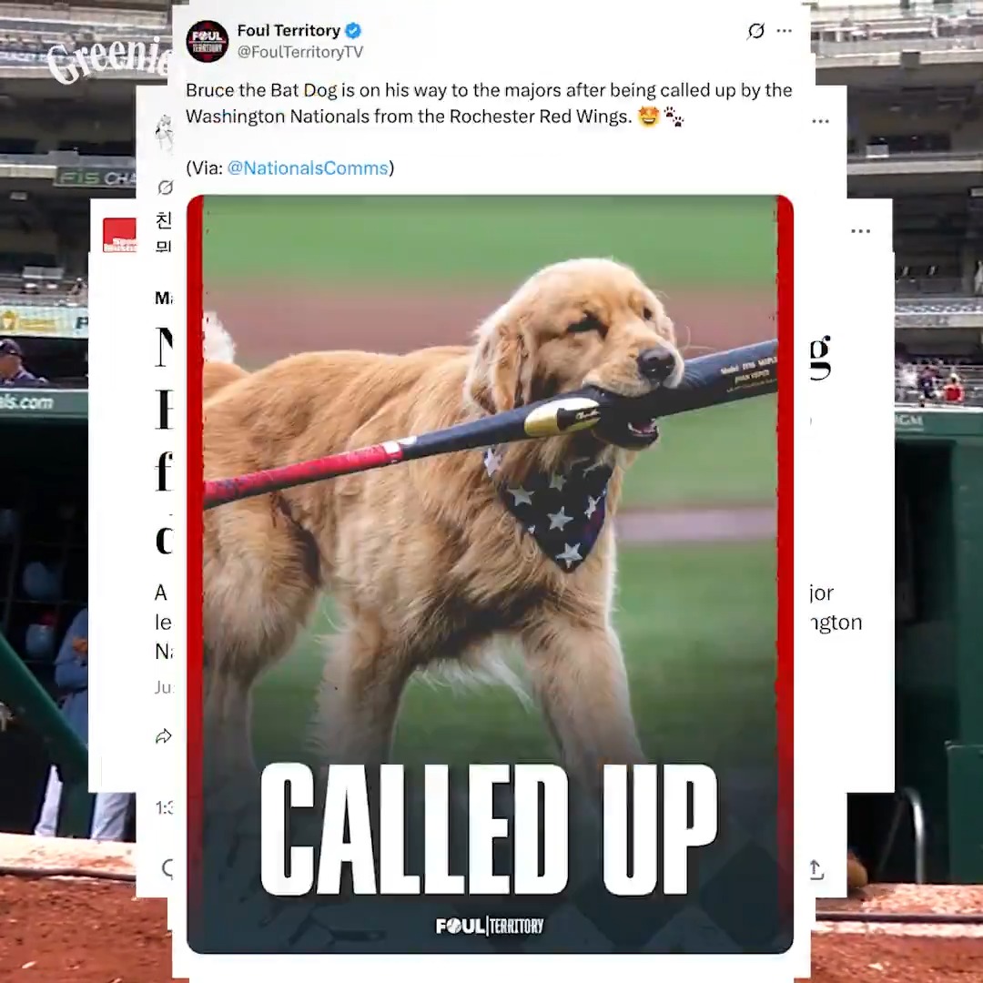 BRUUUUUUUUUUUUUUUUUUUUUUUUUUUUUUUUUUUUUU CE the bat dog 😤