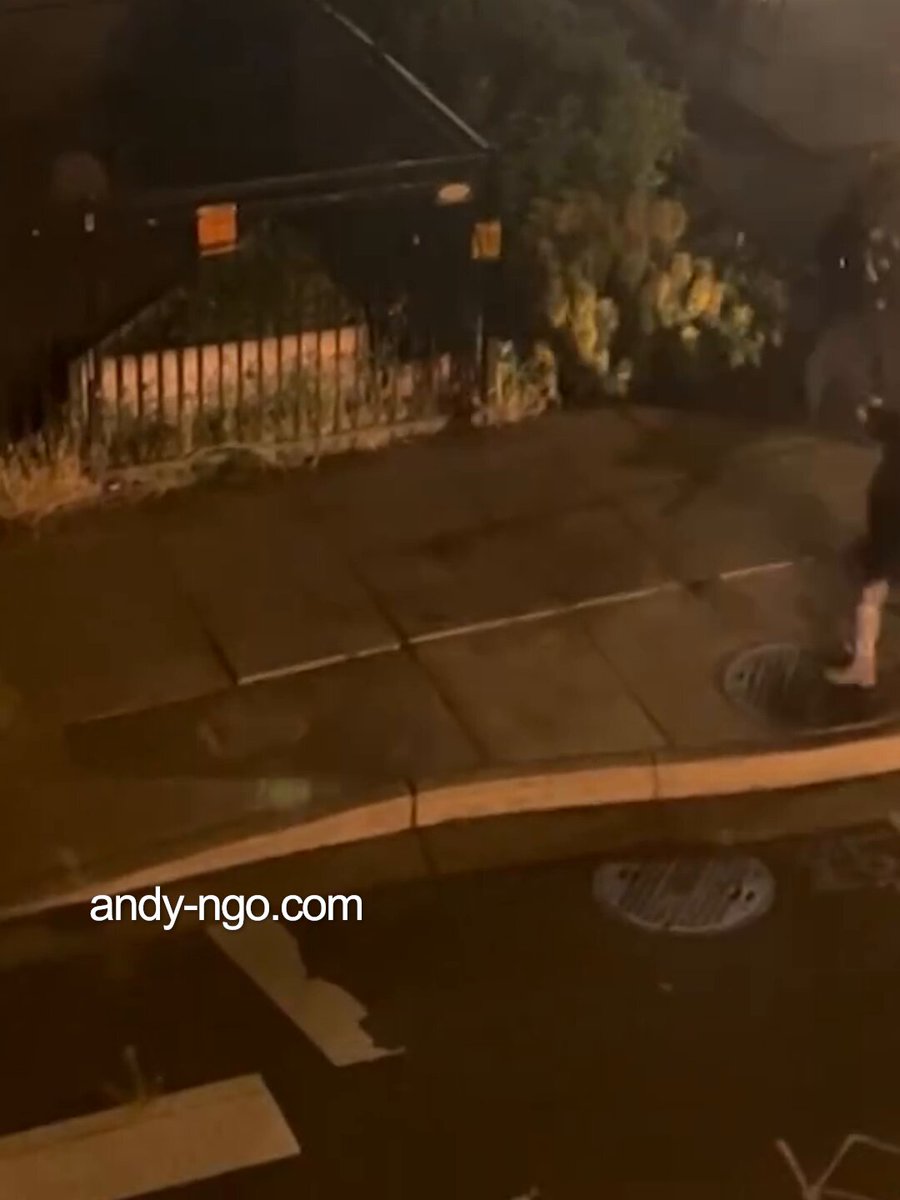 A Portland Trantifa militant face-planted on the ground after being tased for brandishing a weapon against federal agents. The incident happened on June 24 at the ongoing Antifa insurrection against ICE.