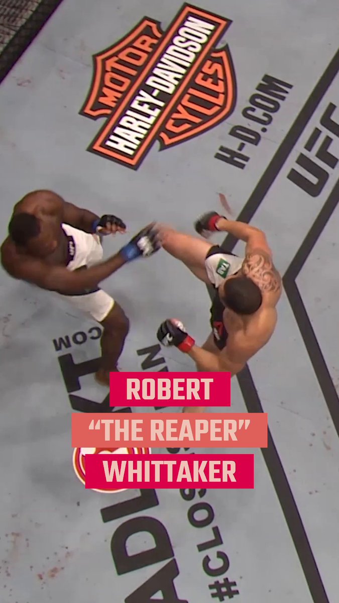 Robert “The Reaper” Whittaker is set to take on Reinier “The Dutch Knight” De Ridder as the main event of UFC Fight Night! 🥊🔥 #InAbuDhabi ✨ Get your tickets now! Etihad Arena UFC Abu Dhabi Showdown Week