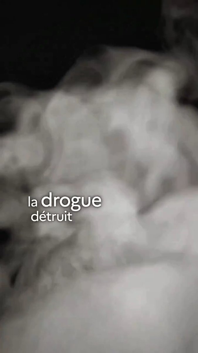 Savez-vous quel impact la drogue a sur l’environnement ? En cette #JournéeMondialeContrelaDrogue, découvrez une réalité souvent ignorée : son effet sur la planète. 🌍 Aff. stratégiques-sécurité-désarmement@francediplo